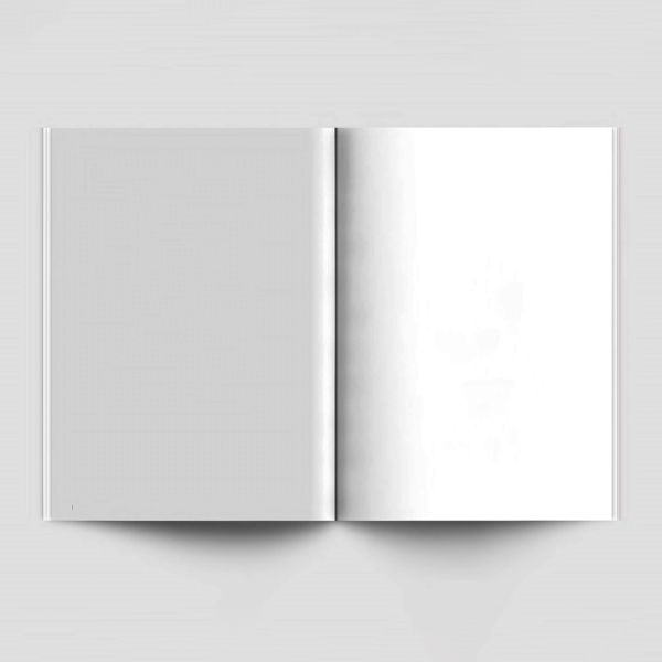 Mockup psd